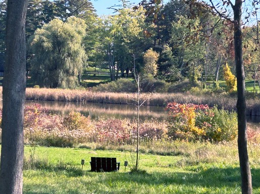 M. B. Goffstein Bennington bench